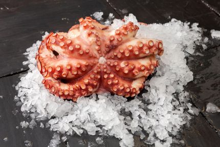 PULPO COCIDO 1